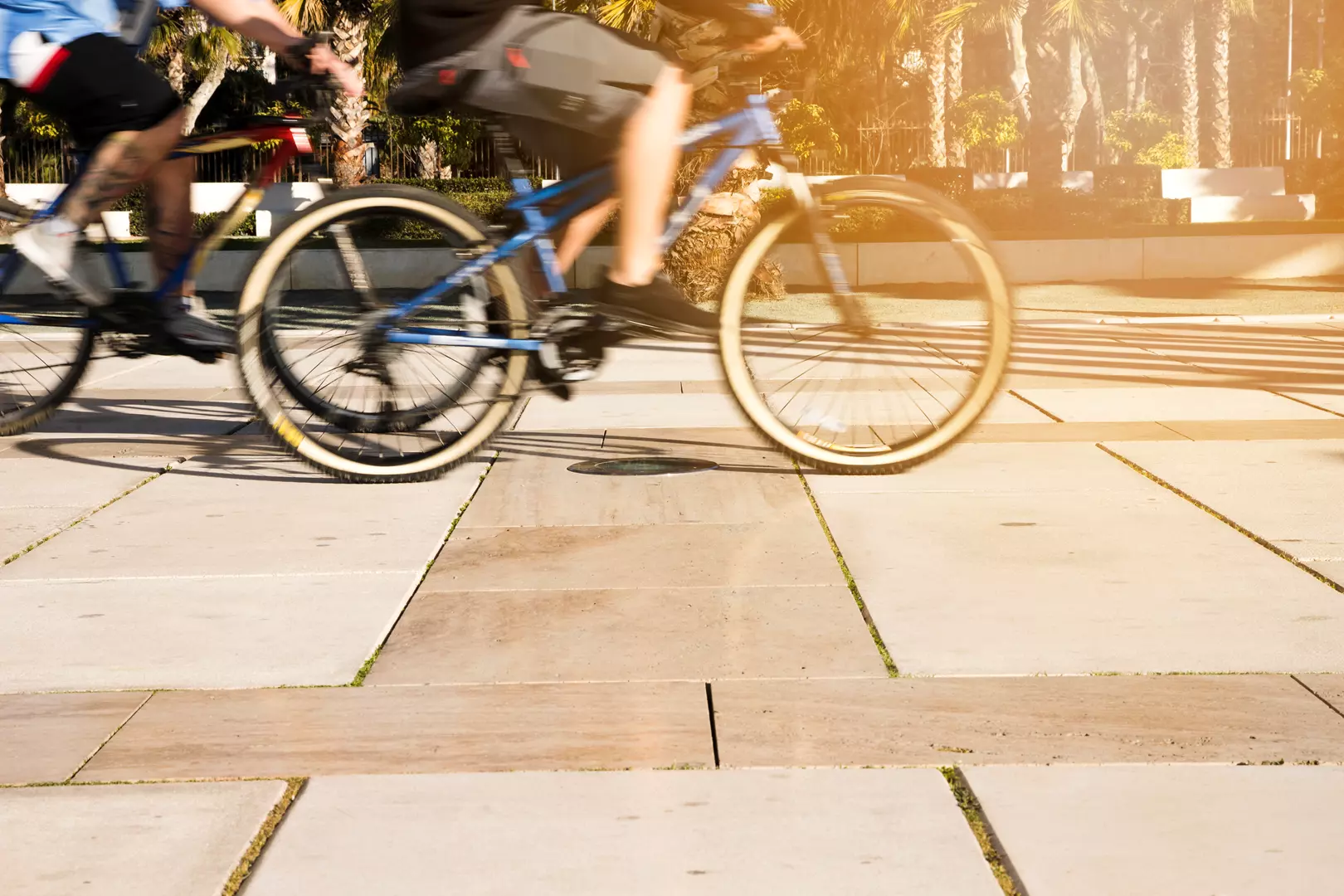 Circulação de bicicletas em vias públicas: saiba o que diz a lei