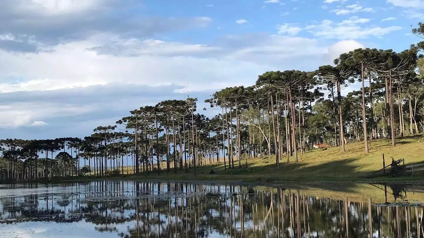 COP30 e os desafios do desenvolvimento regional: perspectivas para Santa Catarina