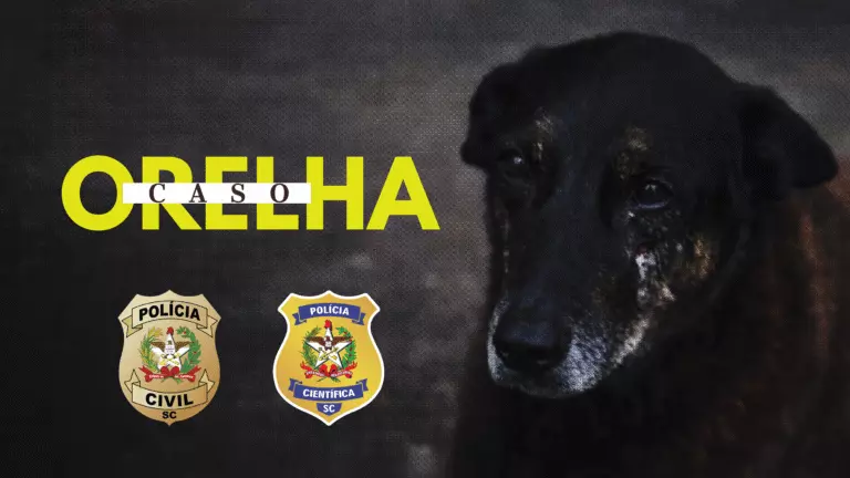 Polícia Civil pede internação de adolescente investigado pela morte do cão comunitário Orelha em Florianópolis