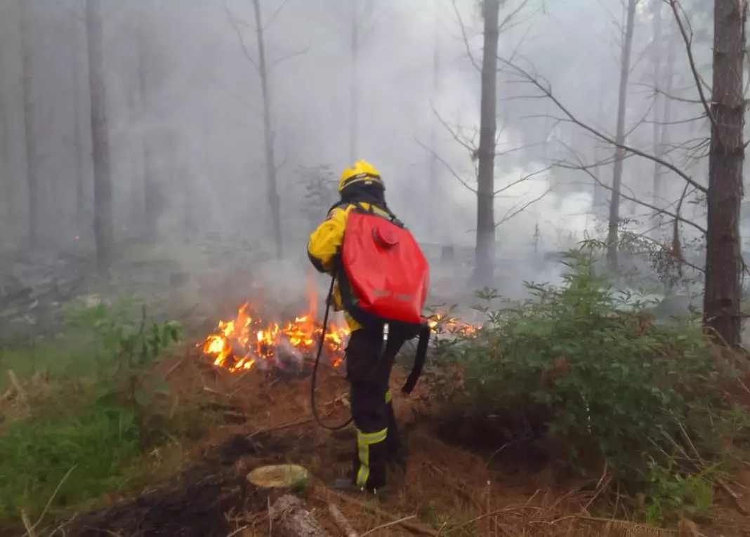 Bombeiros de Mafra e Três Barras unem esforços para combater incêndio em reflorestamento
