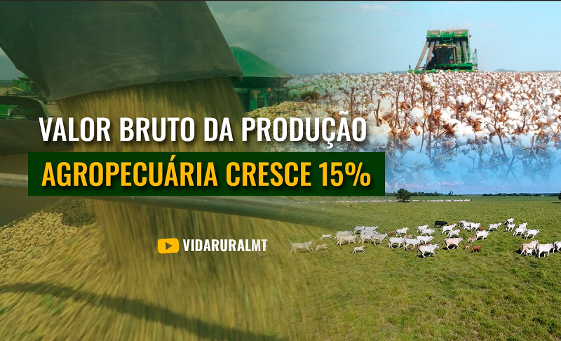 VALOR BRUTO DA PRODUÇÃO AGROPECUÁRIA EM MT CRESCE QUASE 15%
