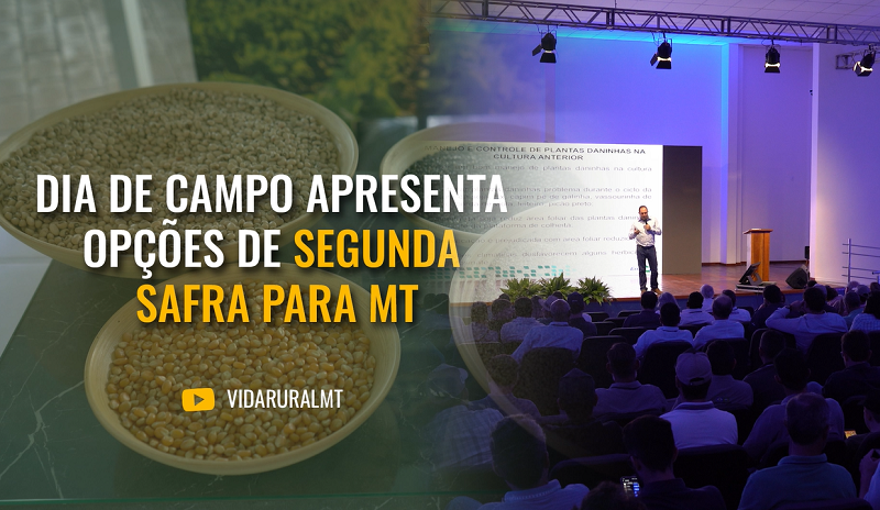 SEGUNDA SAFRA-OPÇÕES DE CULTURAS VIÁVEIS