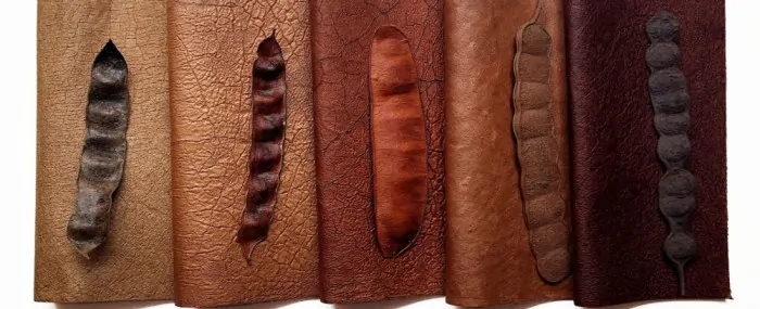 Do angico ao guarda-roupa: biodiversidade brasileira se transforma em tecidos