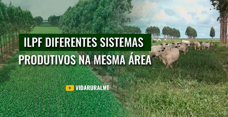 ILPF TEM POTENCIAL DE 159 MILHÕES DE HECTARES DE PASTAGENS