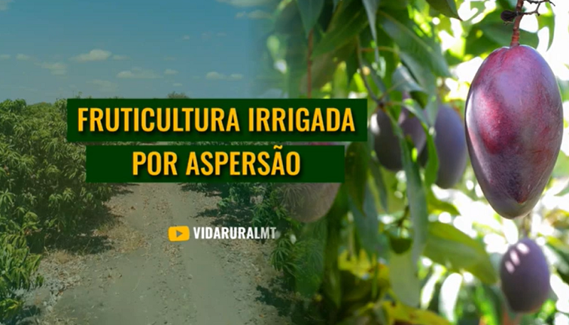 PRINCIPAIS BENEFÍCIOS DESSE MÉTODO NA FRUTICULTURA