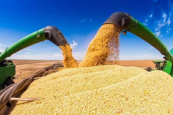 Mato Grosso atinge 50,89 milhões de toneladas e reforça protagonismo mundial na soja