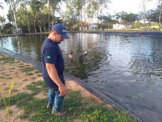 INOVAÇÃO ][ COP30 terá tecnologias da Embrapa-TO: do manejo de tambaqui para pequenos produtores ao Consórcio Certo