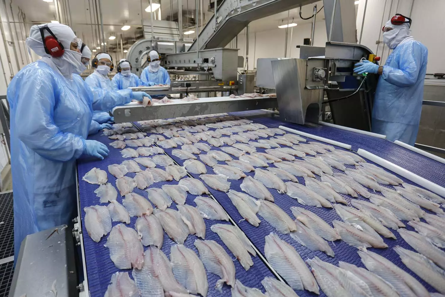 MERCOSUL-UE][ Acordo Mercosul-UE zera tarifas para tilápia do Brasil