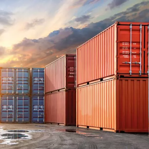 MERCADO EXTERNO ][ Brasil bate recorde na exportação de frango e suíno