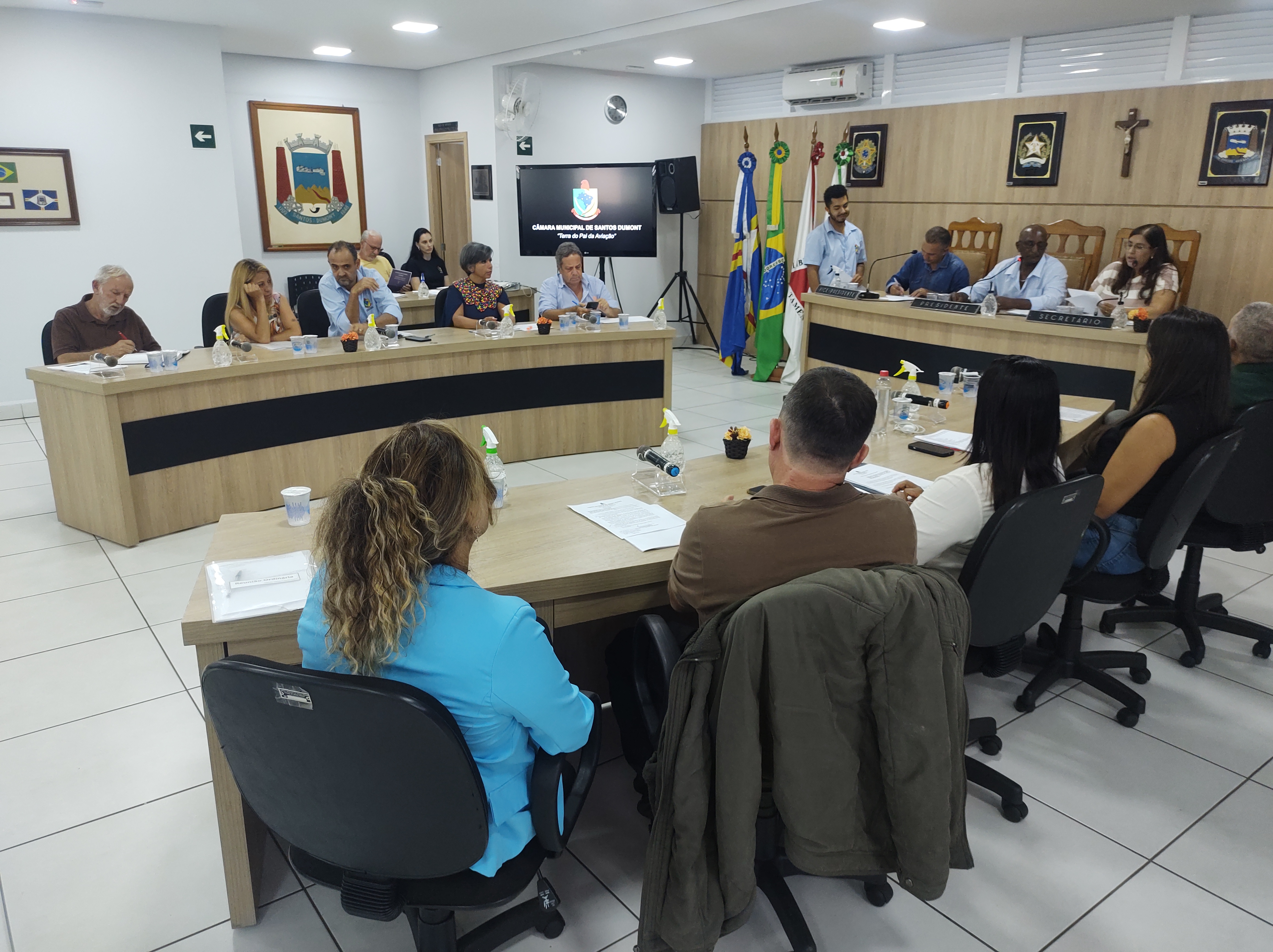 Câmara de Santos Dumont aprova projeto que responsabiliza financeiramente quem cometer maus-tratos a animais