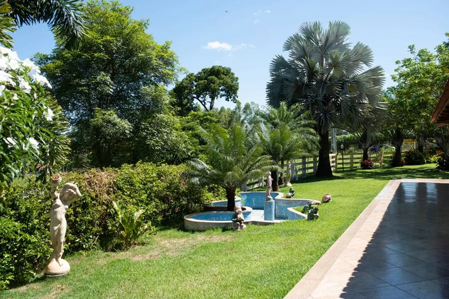Internação Compulsória