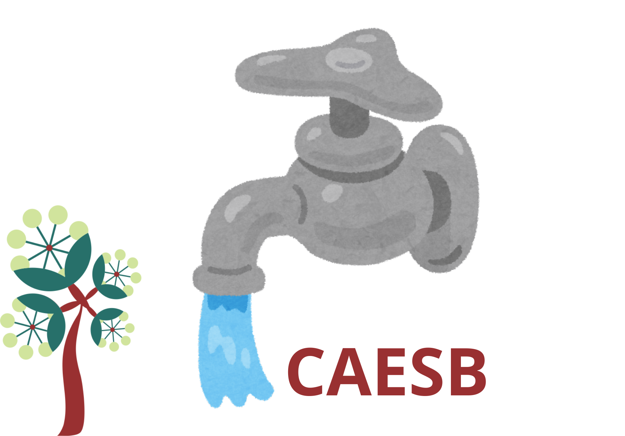 Caesb