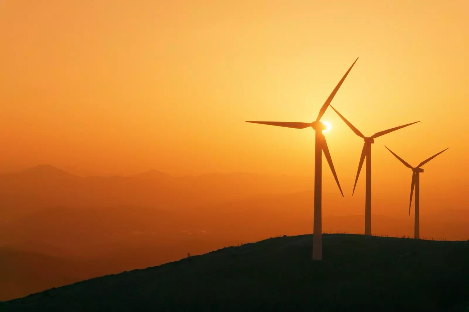 Banco do Nordeste destaca atuação em energia limpa, microfinanças e preservação da Caatinga na COP30