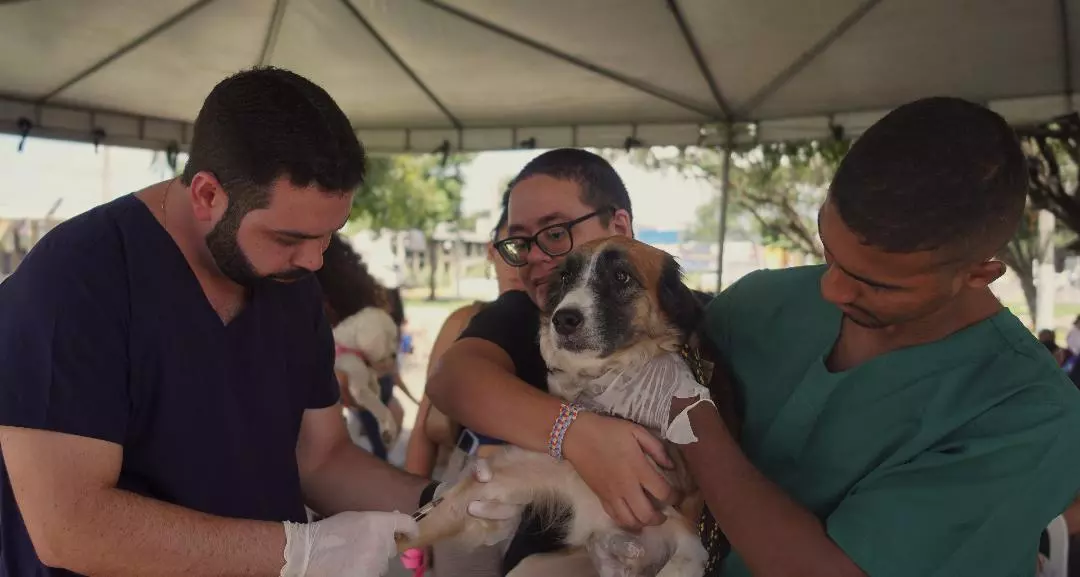 Vetmóvel realiza triagem de animais e amplia número de castrações para mais de 800 procedimentos