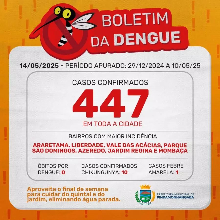 Boletim da dengue: Pinda chega a 447 casos em 2025