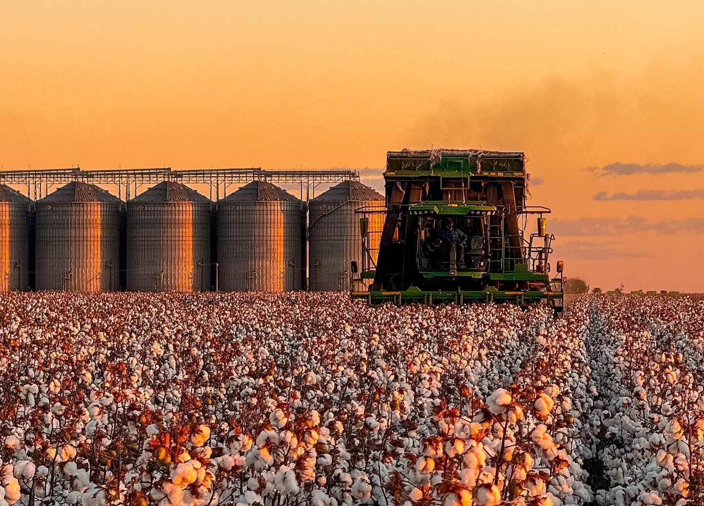 CERRADO PIAUIENSE ][ Piauí ganha primeira unidade de beneficiamento de algodão com investimento de R$ 70 milhões