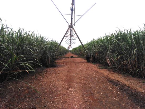 MANEJO HÍDRICO ][ Na irrigação, monitoramento é tão necessário quanto a água