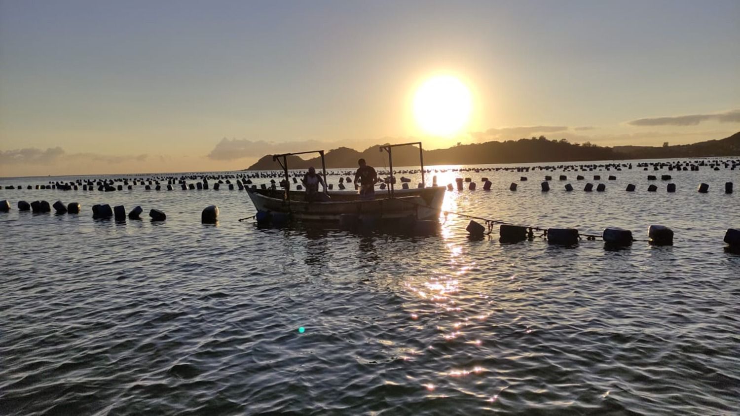 Penha é a terceira maior produtora de mariscos do Brasil e Santa Catarina